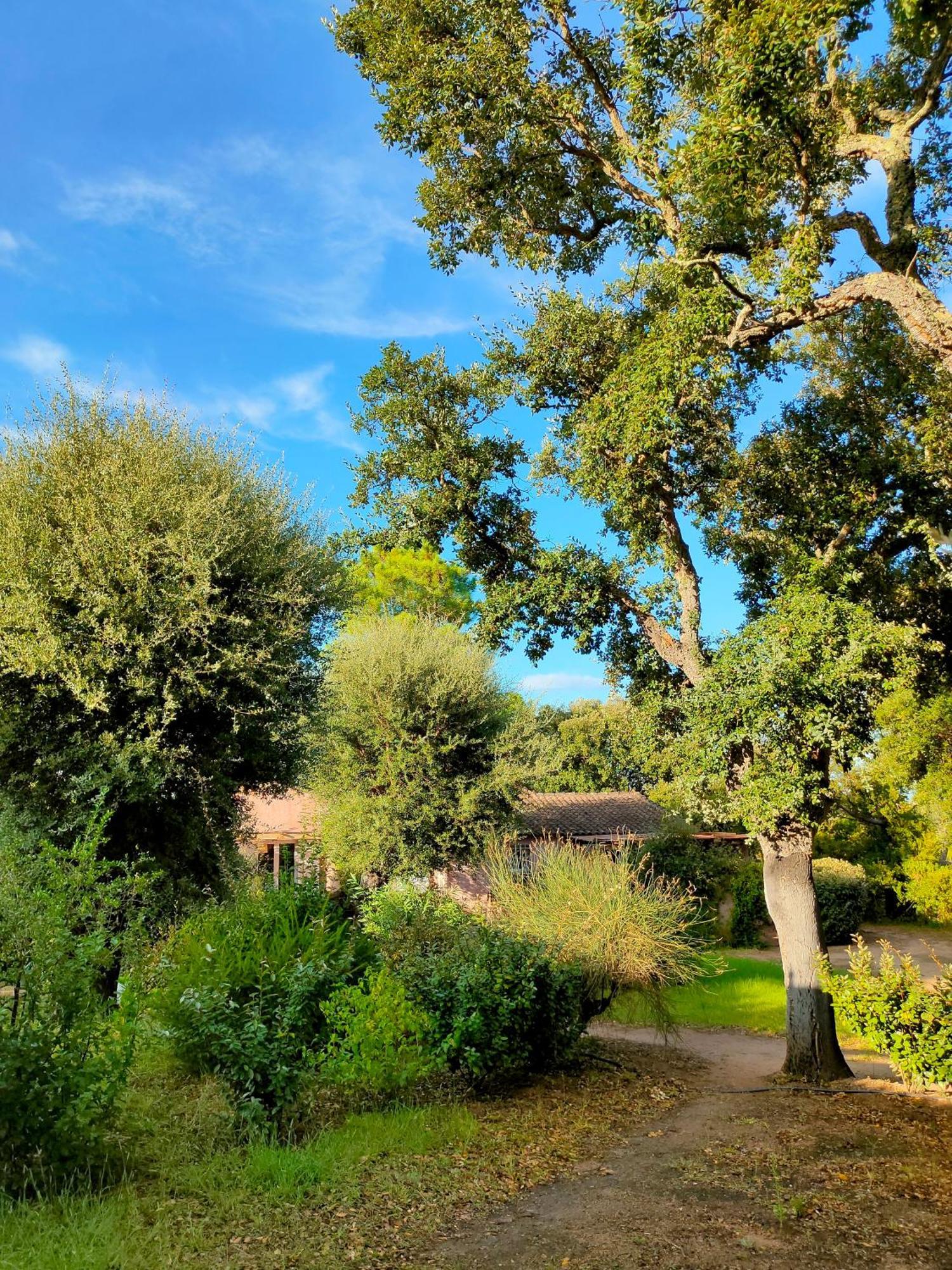 Residence Les Cigales Porto-Vecchio  Ngoại thất bức ảnh